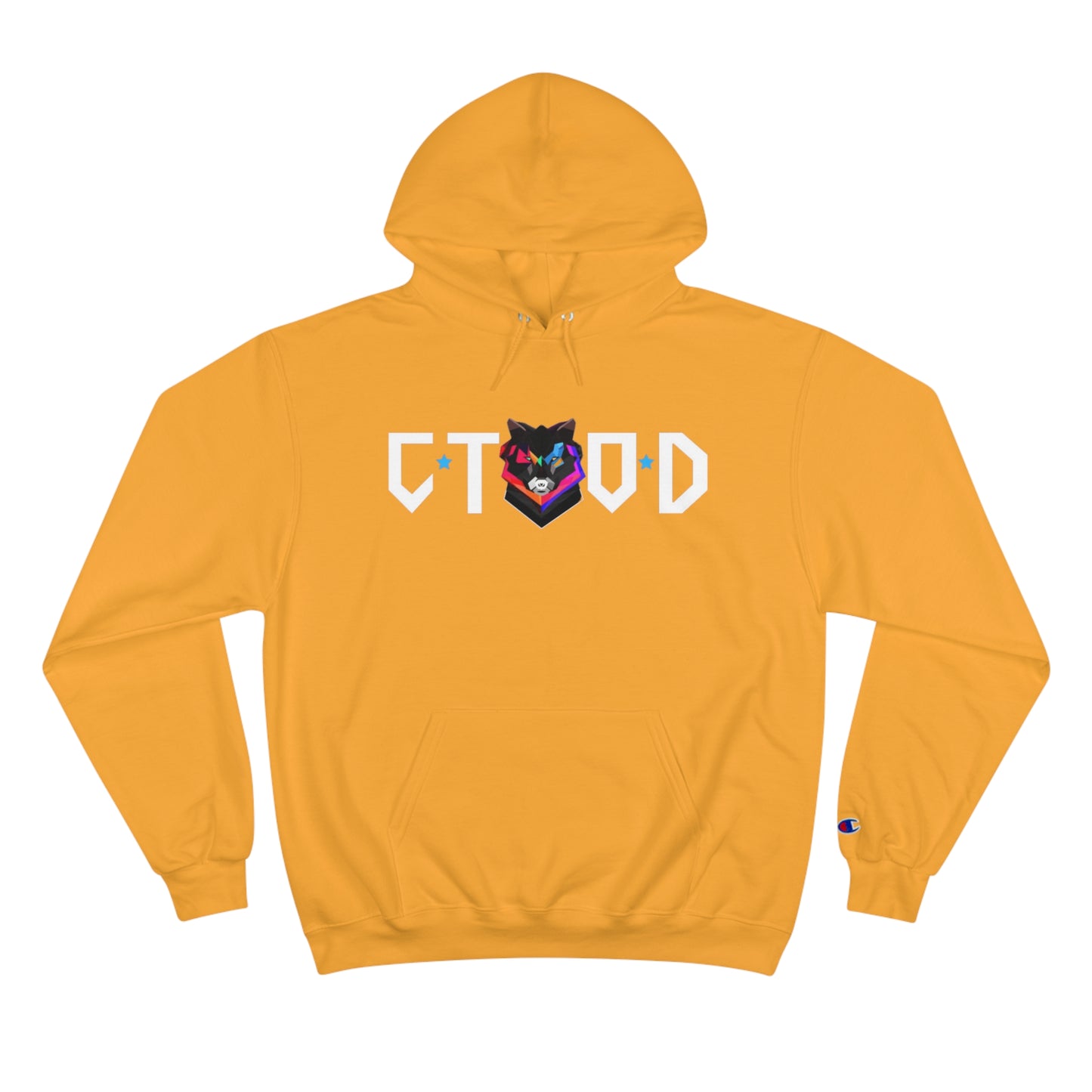 Champion Hoodie